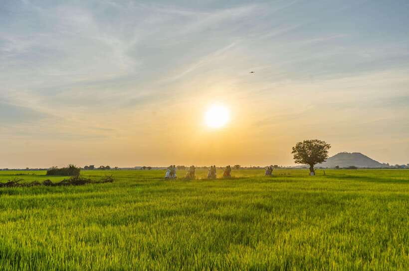 Siem Reap Countryside Sunset Vespa Tour or Tuk Tuk - The traditional village and its working farms