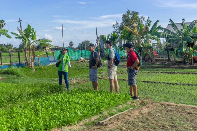Siem Reap Countryside Sunset Vespa Tour / Tuk Tuk Available - Farms, lotus ponds, and village roads are the real sightseeing