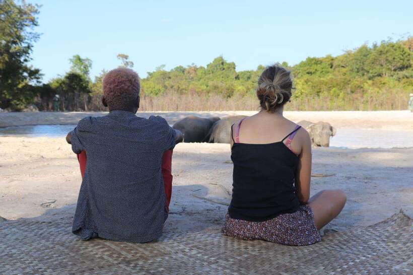 Siem Reap: Dine with Elephants, a Nature & Wildlife Journey - Walking the forest tracks for three hours
