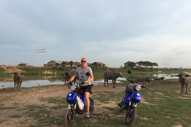SIEM REAP E-BIKE HALF-DAY COUNTRYSIDE (25-30 km) - Key points to know before you book
