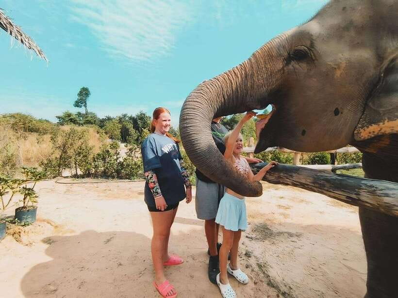 Siem Reap: Elephant Sanctuary Included Hotel Pickup Drop-off - Key things to know before you go