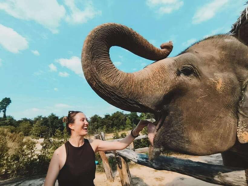 Siem Reap: Elephant Sanctuary Included Hotel Pickup Drop-off - Your introduction and safety briefing