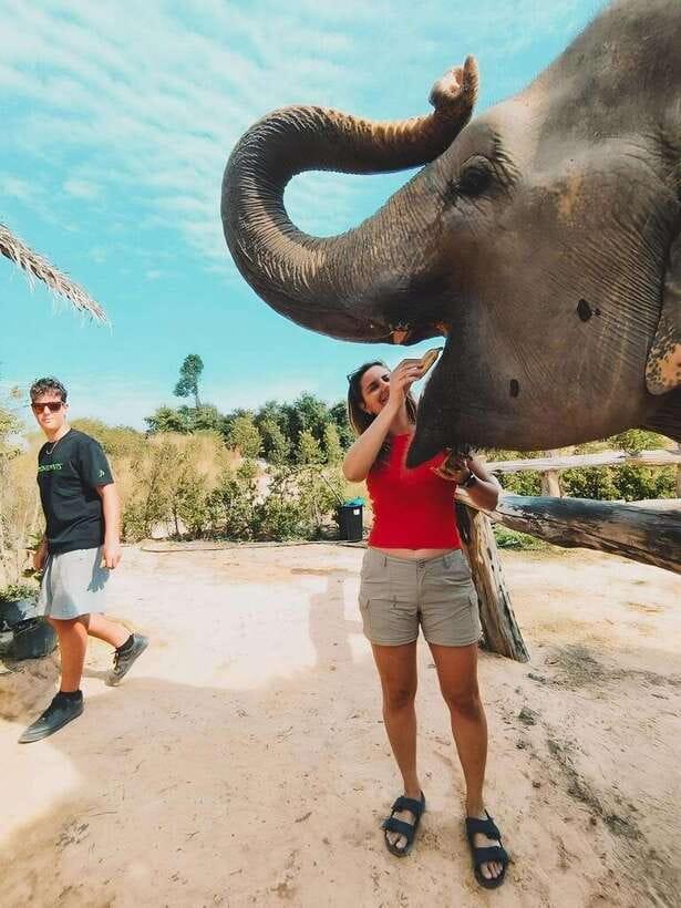 Siem Reap: Elephant Sanctuary Included Hotel Pickup Drop-off - The mud bath with the elephants