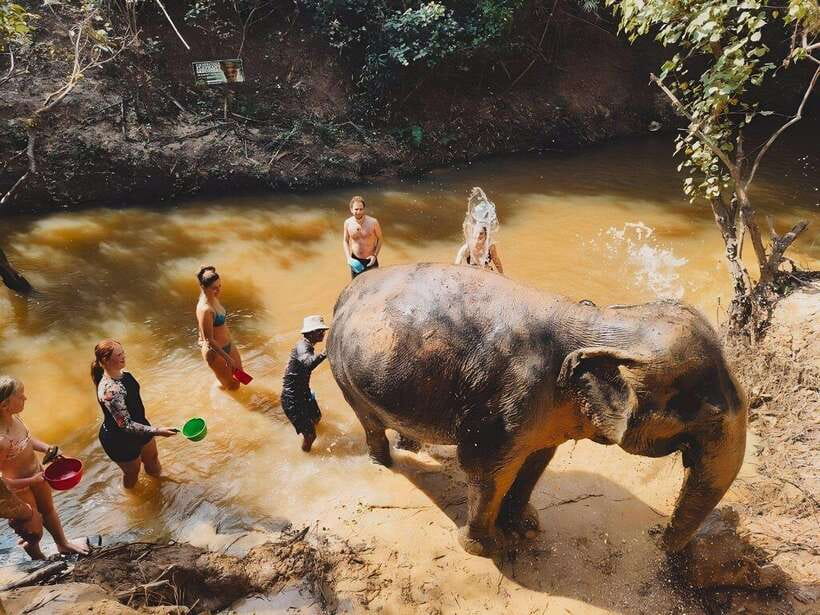 Siem Reap: Elephant Sanctuary Included Hotel Pickup Drop-off - Bathing the elephants after the mud