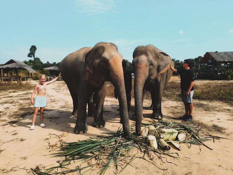 Siem Reap: Elephant Sanctuary Included Hotel Pickup Drop-off - What to pack for a muddy afternoon
