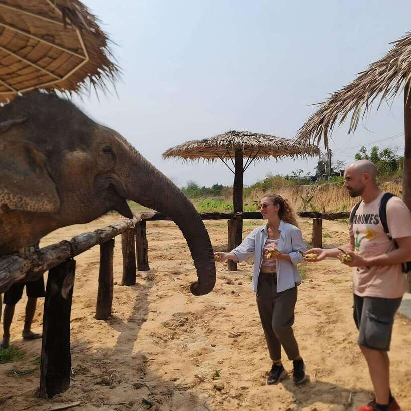 Siem Reap: Elephant Sanctuary Included Hotel Pickup Drop-off - Getting from Krong Siem Reap to the sanctuary