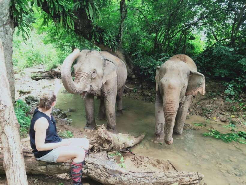 Siem Reap: Elephants & Apopo Rat Demining Private Trip - Key points to know before you book