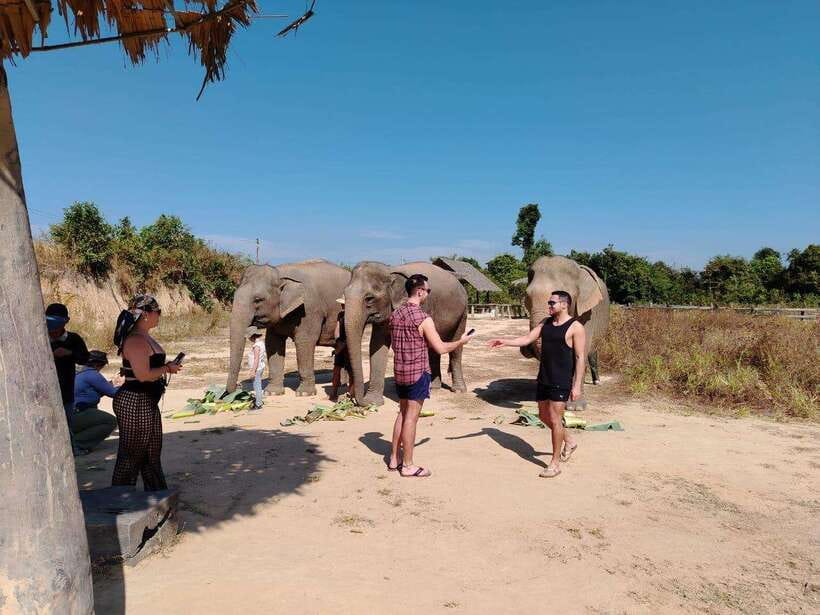 Siem Reap: Elephants & Apopo Rat Demining Private Trip - Returning to Siem Reap and visiting Apopo