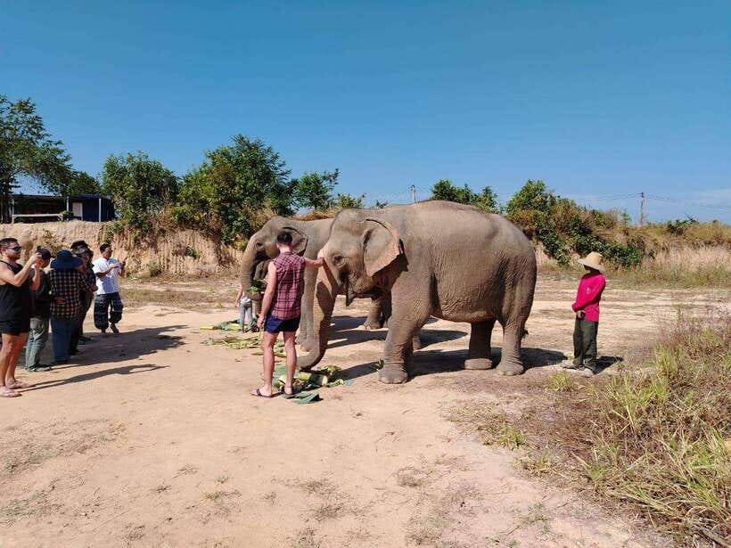Siem Reap: Elephants & Apopo Rat Demining Private Trip - Morning or afternoon: which order is better?