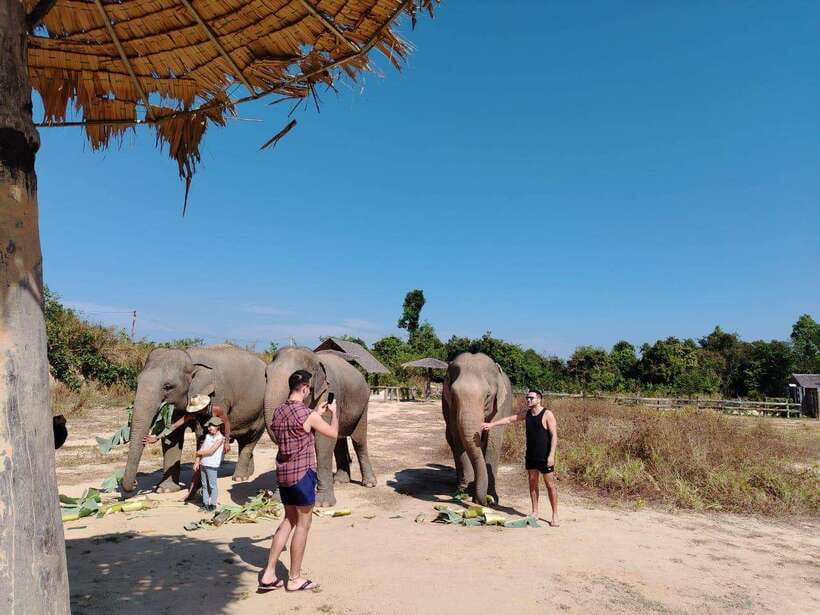 Siem Reap: Elephants & Apopo Rat Demining Private Trip - Group size, guide service, and flexibility