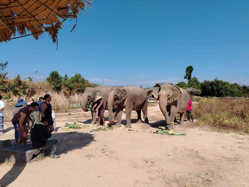Siem Reap: Elephants & Apopo Rat Demining Private Trip - Who should book this day out?
