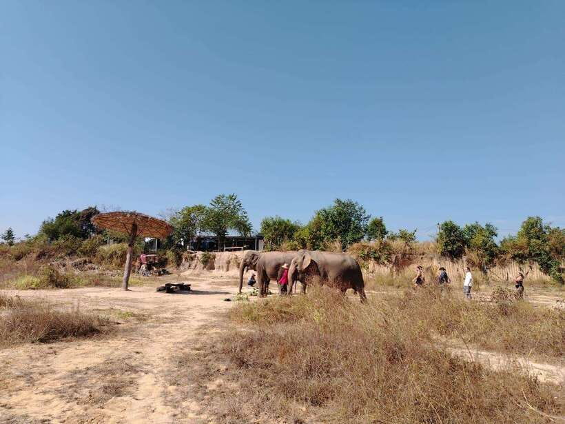 Siem Reap: Elephants & Apopo Rat Demining Private Trip - The 40-minute ride from Siem Reap