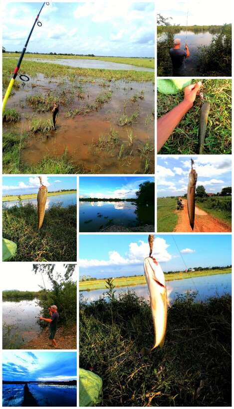 Siem Reap: Fishing in the rice fields, in the villages of Siem Reap - Key points about the fishing day