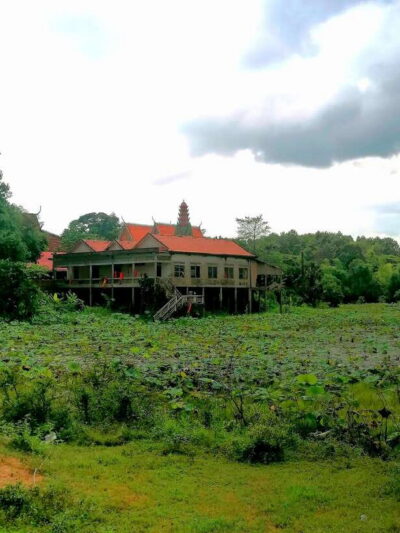Fishing in the rice fields, in the villages of Siem Reap