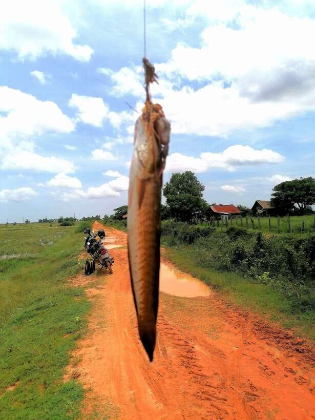 Siem Reap: Fishing in the rice fields, in the villages of Siem Reap - Transport, group size, and what the $68 covers