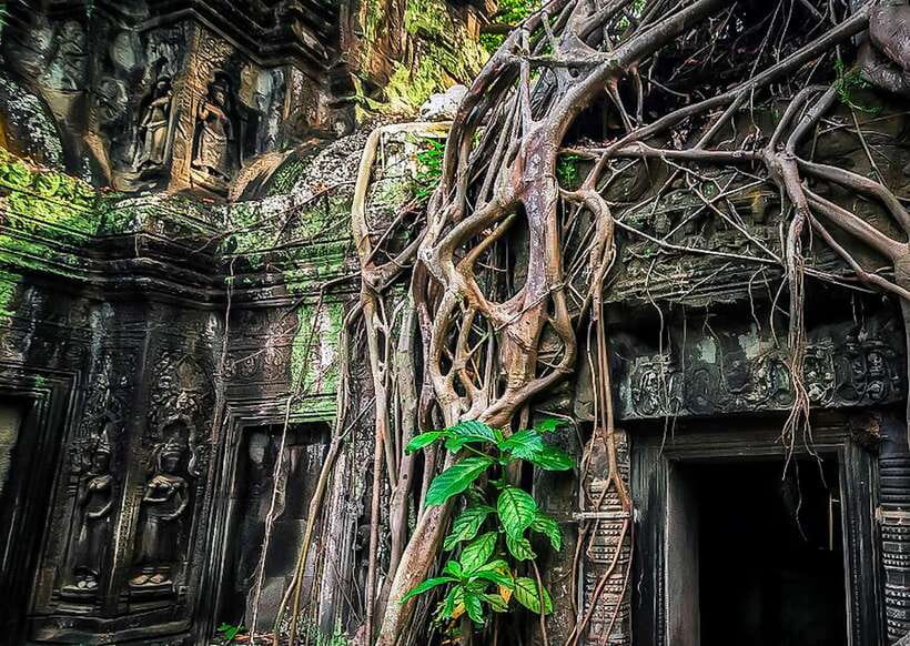 Siem Reap: Full-Day Angkor Wat Guided Tour with Sunset - The guides make the difference