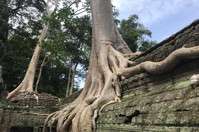Siem Reap Full Day Angkor Wat Tour Small Group - Angkor Thom and Bayon: gates, walls, and stone faces