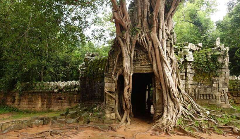 Siem Reap: Grand Circle Temples Tour With Private Tuk-Tuk - What the $26 price includes and leaves out
