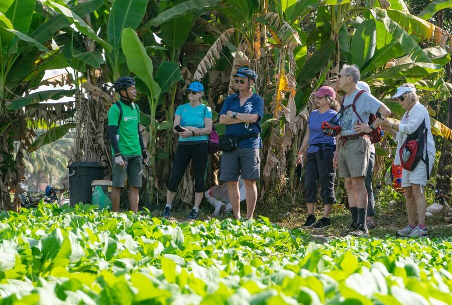 Siem Reap: Guided Countryside Bike Tour - Is $35 a fair price?