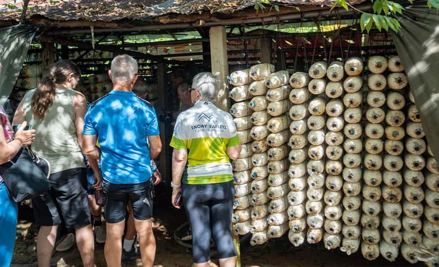 Siem Reap: Guided Countryside Bike Tour - Guides who shape the experience