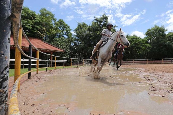 Siem Reap Happy Horse Riding Free Pick-up & Drop-off - Key points to know before booking