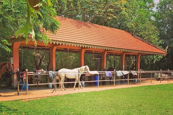Siem Reap Happy Horse Riding Free Pick-up & Drop-off - Choosing between one, two, and three hours