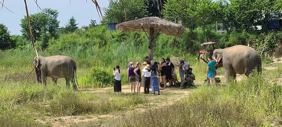 Siem Reap: Kulen Elephant Forest Guided Tour - Key points to know before booking