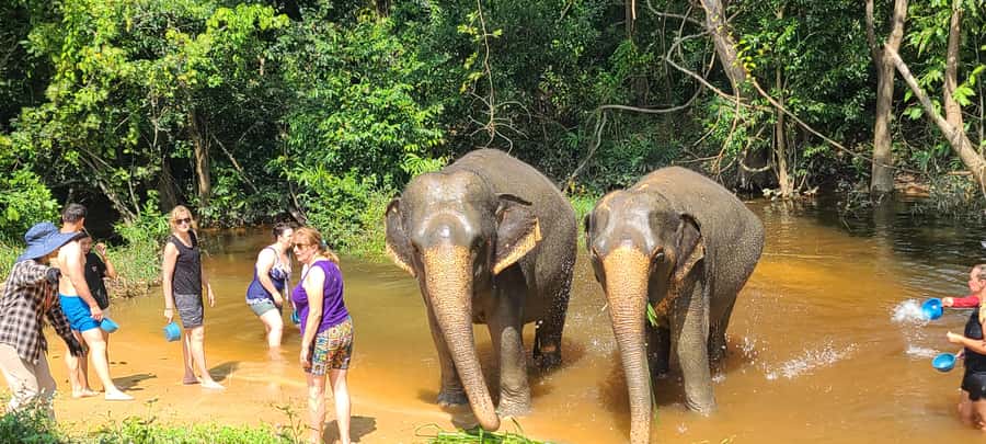 Siem Reap: Kulen Elephant Forest Guided Tour - Lunch at base camp after the morning program