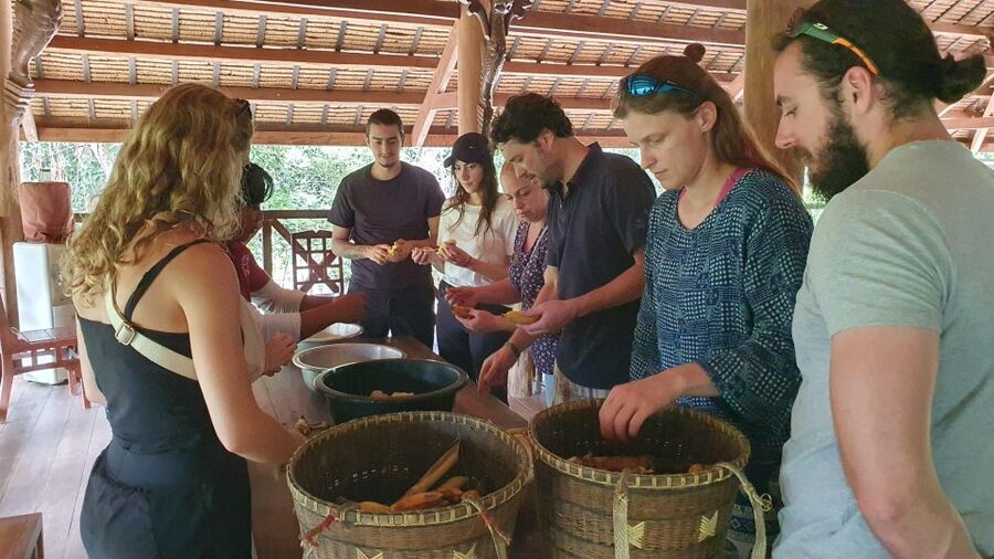 Siem Reap: Kulen Elephant Forest Guided Tour - Is $128 a fair price?