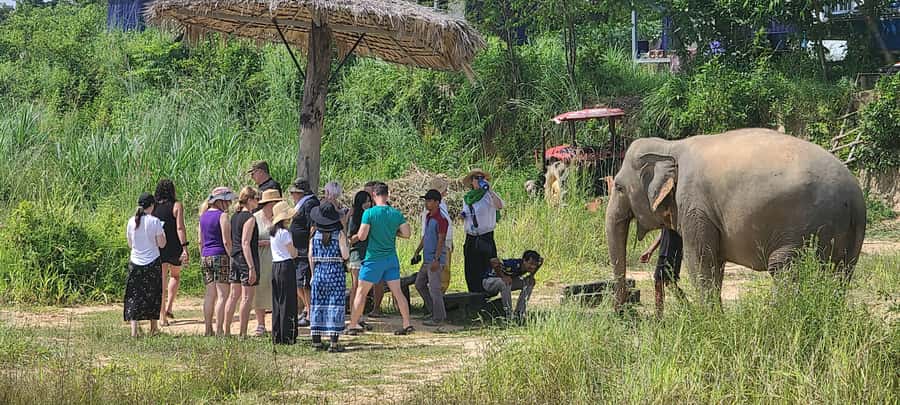Siem Reap: Kulen Elephant Forest Guided Tour - Which guide can make the difference?