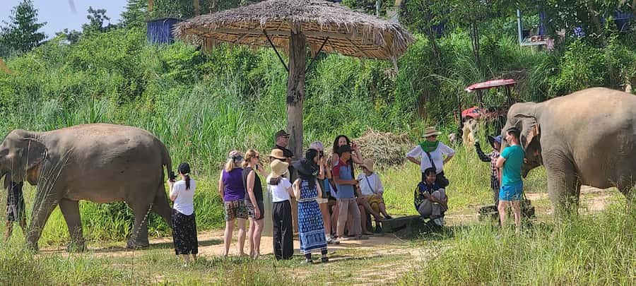 Siem Reap: Kulen Elephant Forest Guided Tour - A briefing before you meet the elephants
