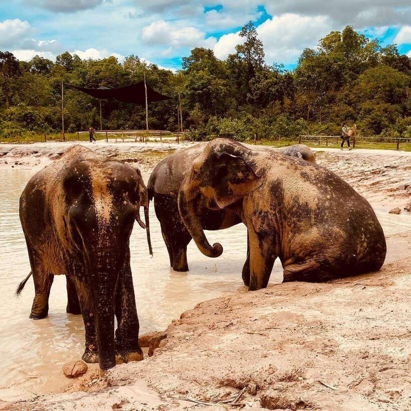 Siem Reap: Kulen Elephant Forest & Tonlesap Lake - Why this Siem Reap day trip feels different