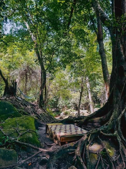 Siem Reap: Kulen Mountain, Beng Mealea, and Kampong Phluk - What the guide and vehicle add