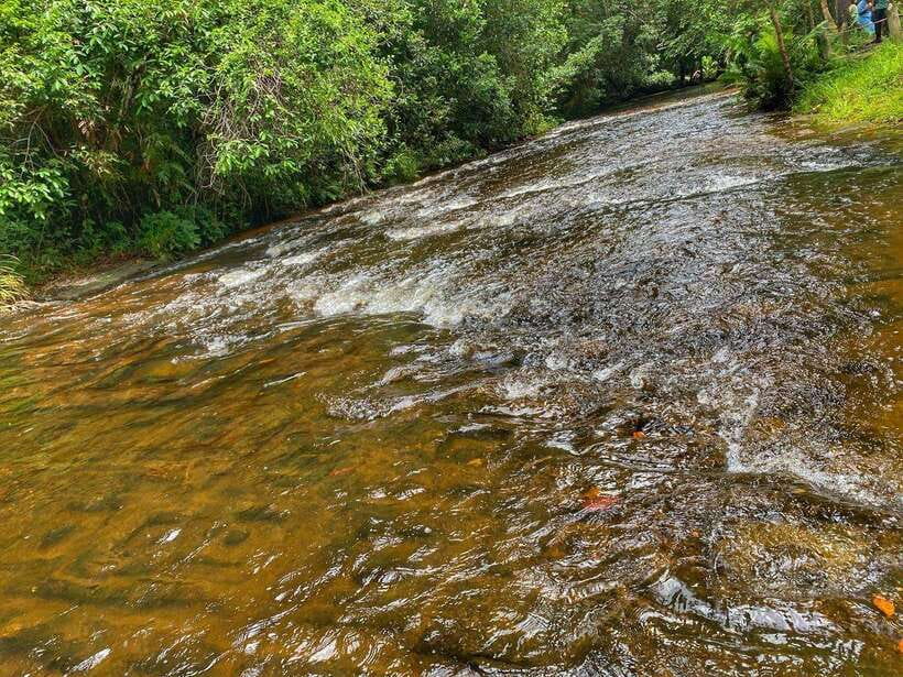 Siem Reap: Kulen Mountain, Beng Melea, and Kampong Phluk … - What the $223 price really includes