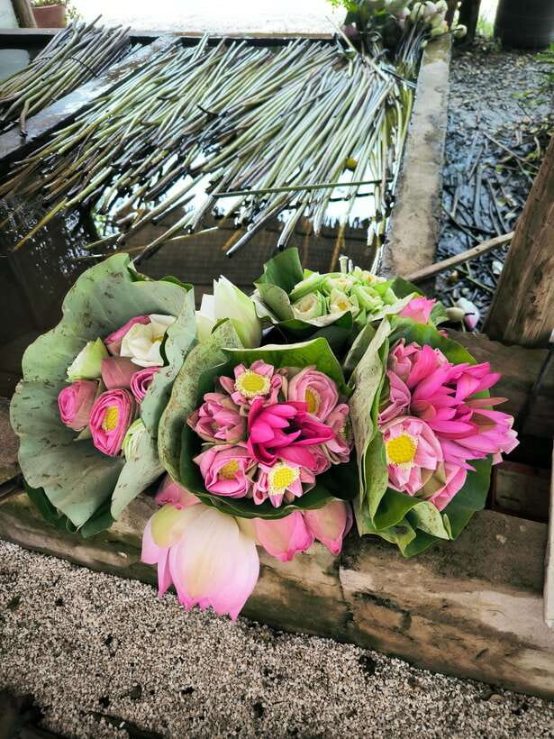 Siem Reap Lotus Silk Farm Discovery tour & Lake experience - Practical advice before you book