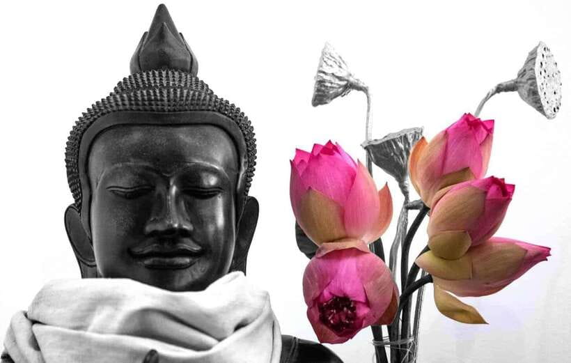 Siem Reap Lotus Silk Farm Discovery tour & Lake experience - From Biolab Café to the countryside