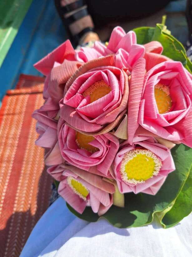 Siem Reap Lotus Silk Farm Discovery tour & Lake experience - Is $20 good value in Siem Reap?