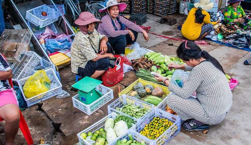 Siem Reap: Morning Cooking Class & Market Tour - Farms, mushrooms, and the food behind the recipes