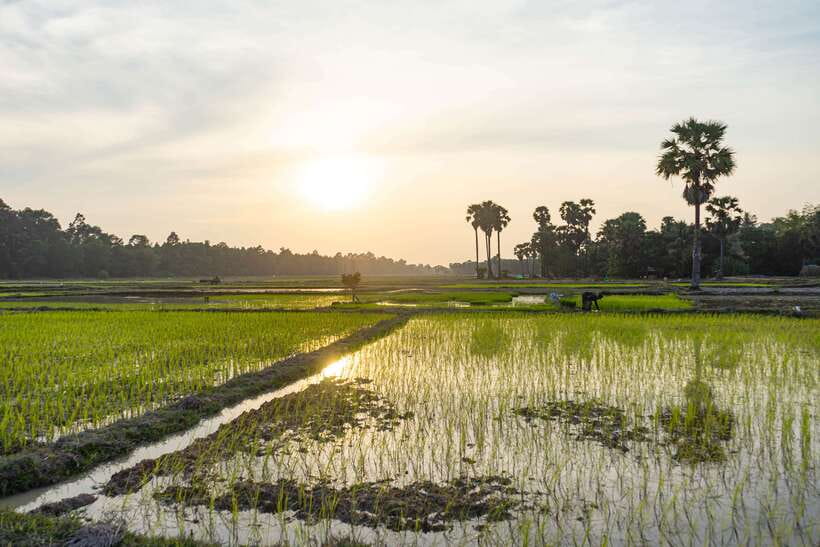 Siem Reap: Off-Road Ride Haft Day Tour - What the $65 price really includes