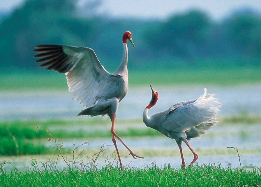 Siem Reap: Prek Toal Tonle Sap Biosphere Reserve Tour - The crossing to Prek Toal
