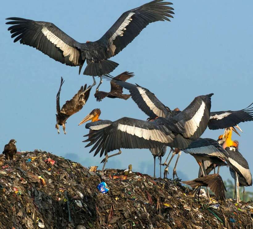 Siem Reap: Prek Toal Tonle Sap Biosphere Reserve Tour - 6:00am pickup and the road to the port