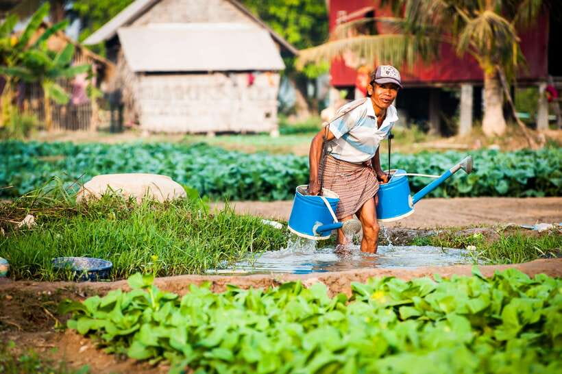 Siem Reap: Private Countryside Guided Tour by Bike & E-Bike - From Siem Reap Streets to Rural Paths