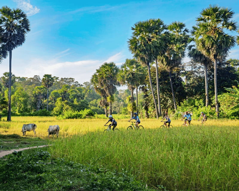 Siem Reap: Private Countryside Guided Tour by Bike & E-Bike - Meeting a Rattan Basket Weaver