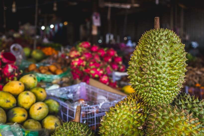 Siem Reap: Private Countryside Guided Tour by Bike & E-Bike - West Baray and the Angkorian Water World