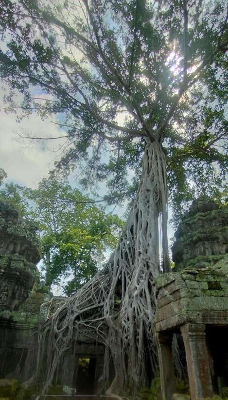 Siem Reap Private Tour: Angkor Wat Sunrise And Banteay Srei - Why this private Angkor day works well