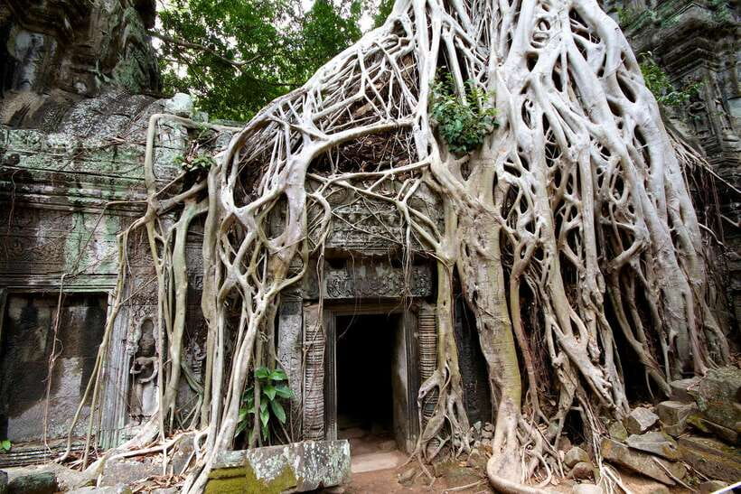 Siem Reap: Private Tour of Angkor Complex - What this private Angkor day actually covers