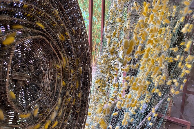 Siem Reap: Silk Farm & Countryside Offbeat Jeep Tour - A Buddhist temple away from the main circuit