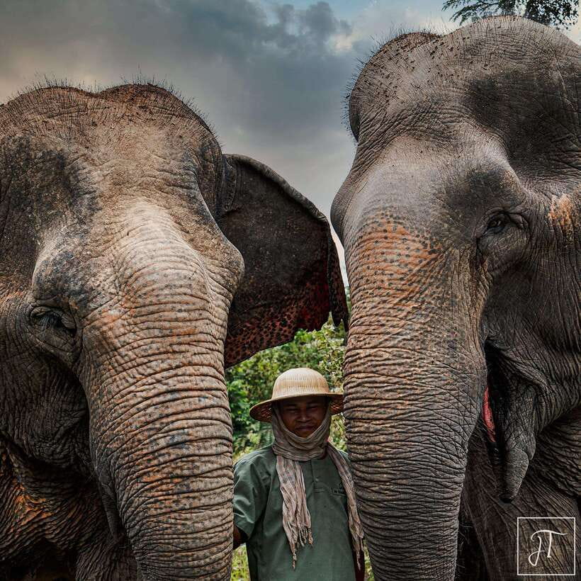 Siem Reap: Small Group Tour of Kulen Elephant Forest - Leaving Siem Reap for Kulen Elephant Forest
