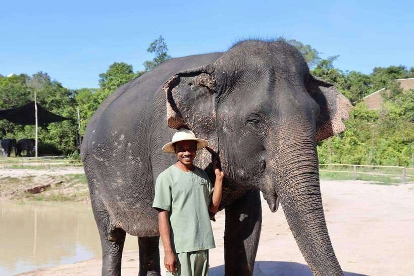 Siem Reap: Small Group Tour of Kulen Elephant Forest - Feeding the elephants by hand