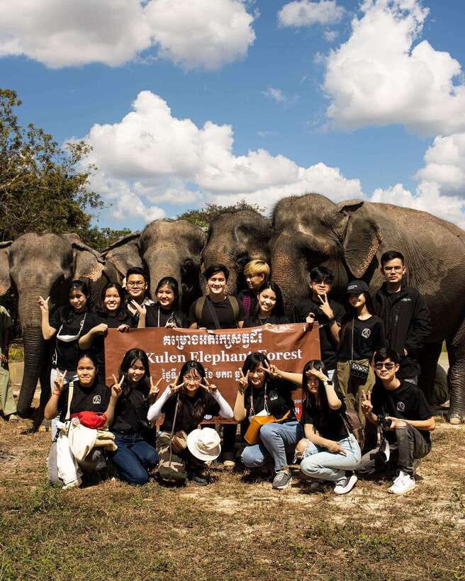 Siem Reap: Small Group Tour of Kulen Elephant Forest - Walking with the elephants through the forest